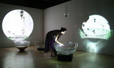 Victoria Vesna, Water Bowls, 2006