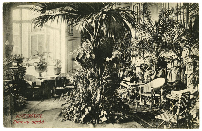 Ogród zimowy w pałacu hr. Potockich w Antoninach. Pocztówka wydana nakładem W. Krzyszkowskiego, około 1910