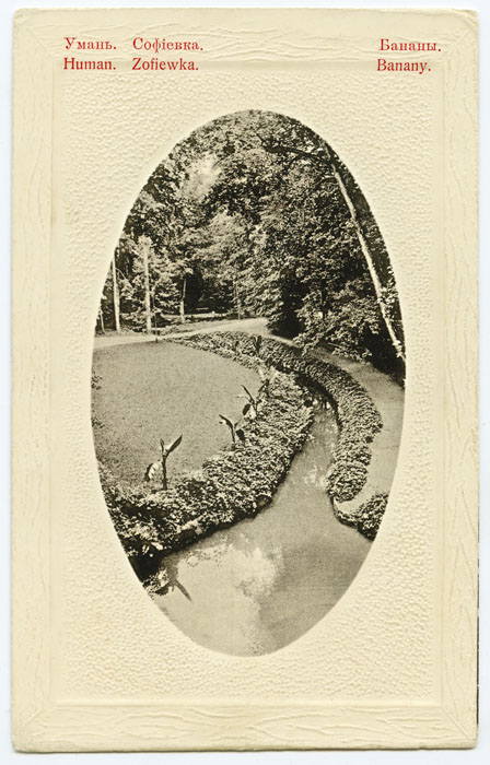 Krzewy bananowców w Zofiówce, około 1910. Urządzenie jednego z najwspanialszych w Europie parków krajobrazowych kosztowało ponad 15 milionów ówczesnych złotych