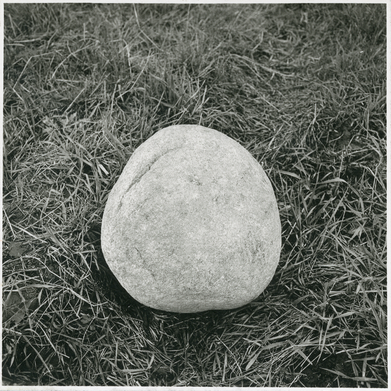 „Transfiguracje” - Galeria „Labirynt” Lublin, ciągi fotografii i fotograficzne książki, 1975