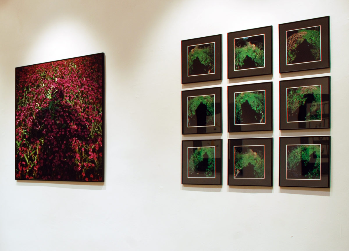 Wernisaż wystawy Andrzeja Lachowicza „Vegetation”, w galerii Foto-Medium-Art, 2009. „Się”, 1972 oraz „Wyjątkowy punkt widzenia”, 2005, fot. Z. Waligóra