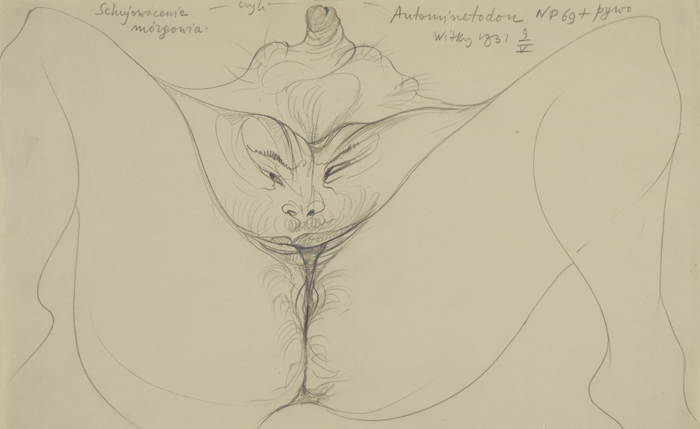 Stanisław Ignacy Witkiewicz, Schujowacenie mózgowia - czyli - Autominetodon, rysunek, 1931 (dzięki uprzejmości Stefana Okołowicza)