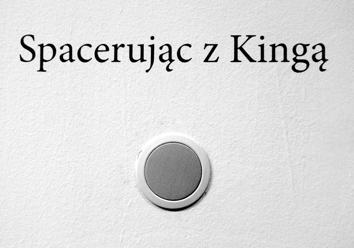 Wernisaż wystawy: Kinga Araya, „Walking with Kinga”, Bunkier Sztuki, 2012, fot. Z. Waligóra