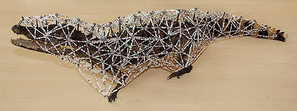 Julien Salaud „Constellation du crocodile” (źródło: materiały prasowe Galerii BWA w Katowicach)