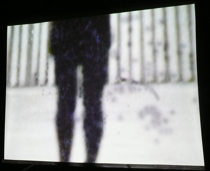 Simon Lee & Algis Kizys, Where is the Black Beast? instalacja wideo, 2010, fragment, fot. E. Wójtowicz