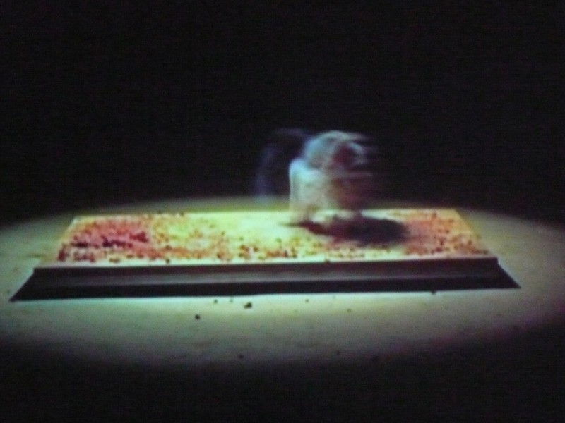 3. Mediations Biennale w Poznaniu – Wang Quingsong, 123456 Chops, wideo, 2008, fragment, fot. E. Wójtowicz