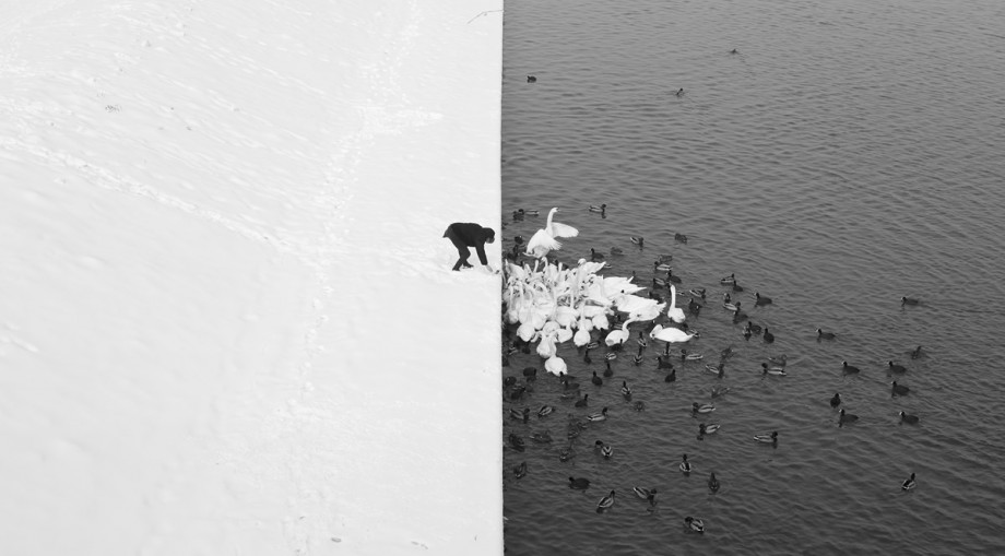 Autor: Marcin Ryczek, Zdjęcie pojedyncze – III miejsce w kategorii Środowisko, Grand Press Photo 2013 (źródło: materiały prasowe organizatora)