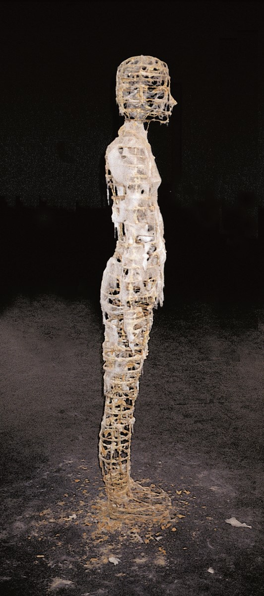 Zuzanna Janin, „Słodka dziewczyna (Zuzanna)”, 1997, drut mosiężny, wata cukrowa, h.175cm, dzięki uprzejmości artystki