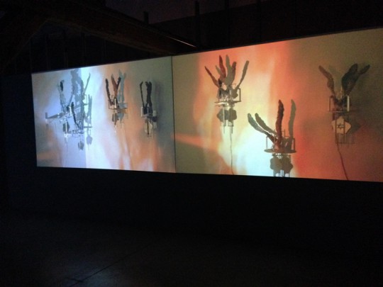 Carolee Schneemann, „Flange 6rpm”, dokumentacja instalacji, fot. Anna Kania-Saj, Centrum Sztuki WRO we Wrocławiu, 2013 (źródło: archiwum autorki)