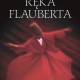 Renata Lis, „Ręka Flauberta”, wydawnictwo Sic!, 2011 (żródło: materiały prasowe wydawnictwa Sic!)