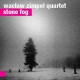 Wacław Zimpel Quartet, „Stone Fog”, For Tune, 2013 (źródło: materiały prasowe wytwórni)