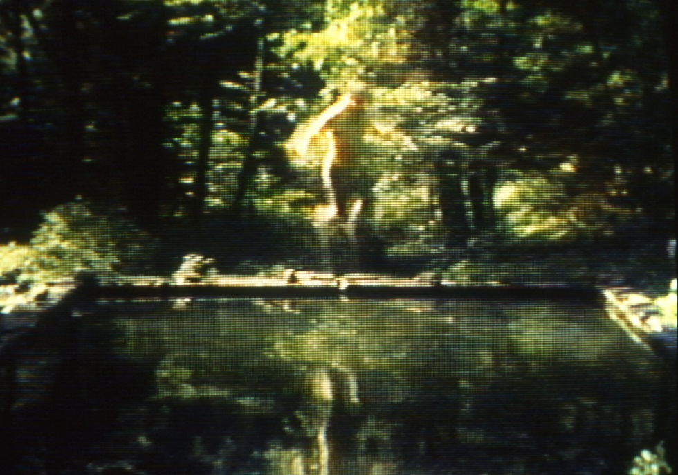 Bill Viola, „The Reflecting Pool”, fot. archiwum autora (źródło: materiały czasopisma EKRANy)