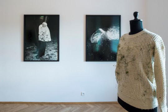 Clare Strand, „Lektury dodatkowe”, Miesiąc Fotografii w Krakowie, Muzeum Narodowe w Krakowie – Kamienica Szołayskich, 2014, fot. Studio Luma, www.studioluma.pl (źródło: dzięki uprzejmości organizatora)