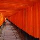 Labirynt „tori” w Fushimi Inari, Kioto; fot. Jerzy Olek (źródło: dzięki uprzejmości Jerzego Olka)
