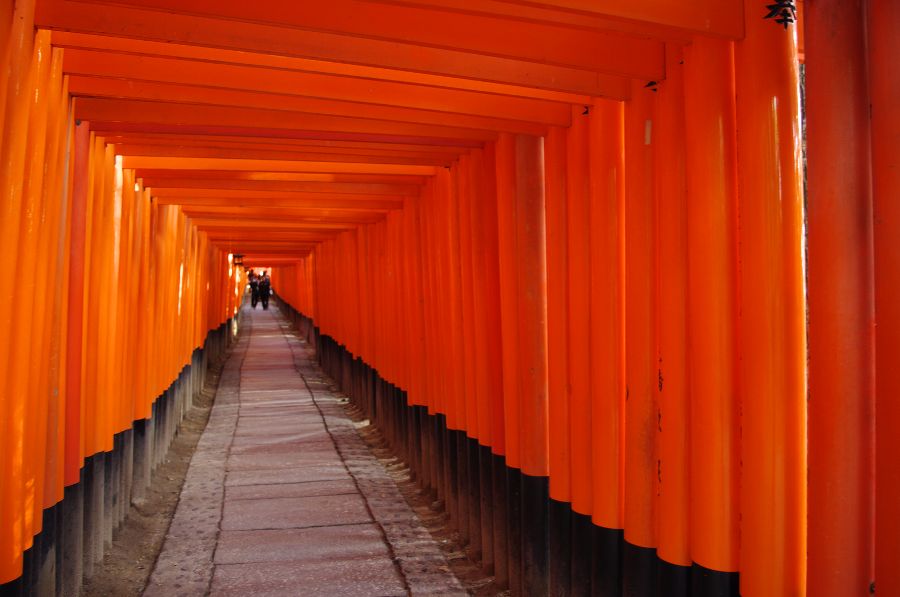 Labirynt „tori” w Fushimi Inari, Kioto; fot. Jerzy Olek (źródło: dzięki uprzejmości Jerzego Olka)