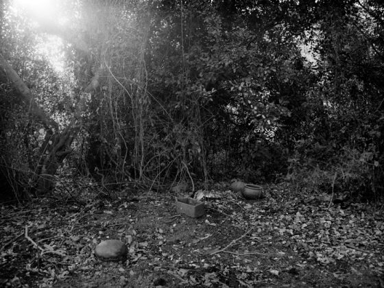 Magda Hueckel, „Anima | Sacrum I”, Benin, okolice Posssotomé, Święty Las, Pozostałości po rytuale pogrzebowym, 2013 (źródło: dzięki uprzejmości artystki)