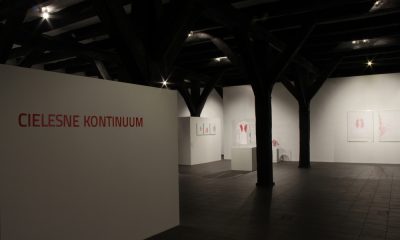 „Cielesne kontinuum”, Galeria Sztuki Wozownia w Toruniu, 2014, widok wystawy, fot. Kazimierz Napiórkowski (źródło: dzięki uprzejmości Galerii Sztuki Wozownia)