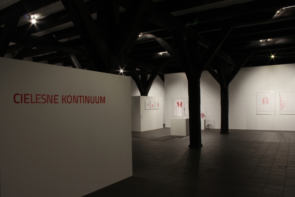 „Cielesne kontinuum”, Galeria Sztuki Wozownia w Toruniu, 2014, widok wystawy, fot. Kazimierz Napiórkowski (źródło: dzięki uprzejmości Galerii Sztuki Wozownia)