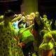 Festiwal „Dźwięki Północy”, noc tańca, Nadbałtyckie Centrum Kultury, 2014, fot. Piotr Połoczański (źródło: dzięki uprzejmości NCK)