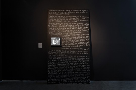 Joseph Beuys, „Wideowywiad Willoughby'ego Sharpa z Josephem Beuysem” ,1973, widok instalacji w Centrum Sztuki Współczesnej Znaki Czasu, dzięki uprzejmości Electronic Arts Intermix, fot. Wojciech Olech (źródło: materiały CSW w Toruniu)