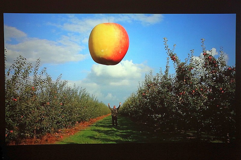 Izabela Sitarska, „Pomiędzy”, fot. Mirosław E. Koch, wystawa „Rysopis”, WRO Art Center & Griffin Art Space (źródło: materiały prasowe organizatora)