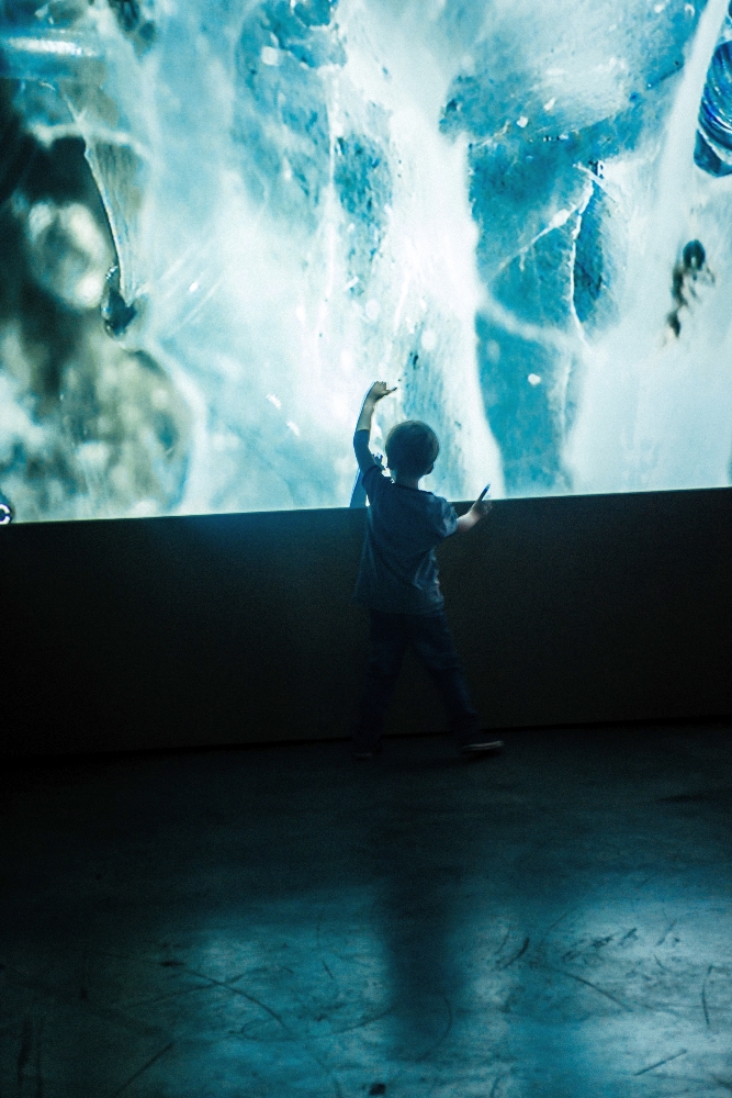 16. Biennale Sztuki Mediów WRO Test Exposure, 2015, Muzeum Narodowe, fot. M. Maziej (źródło: dzięki uprzejmości organizatora)