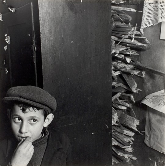 Chłopiec w piwnicy, ulica Krochmalna, Warszawa, ok. 1935–38 © Mara Vishniac Kohn (źródło: dzięki uprzejmości ICP w Nowym Jorku)