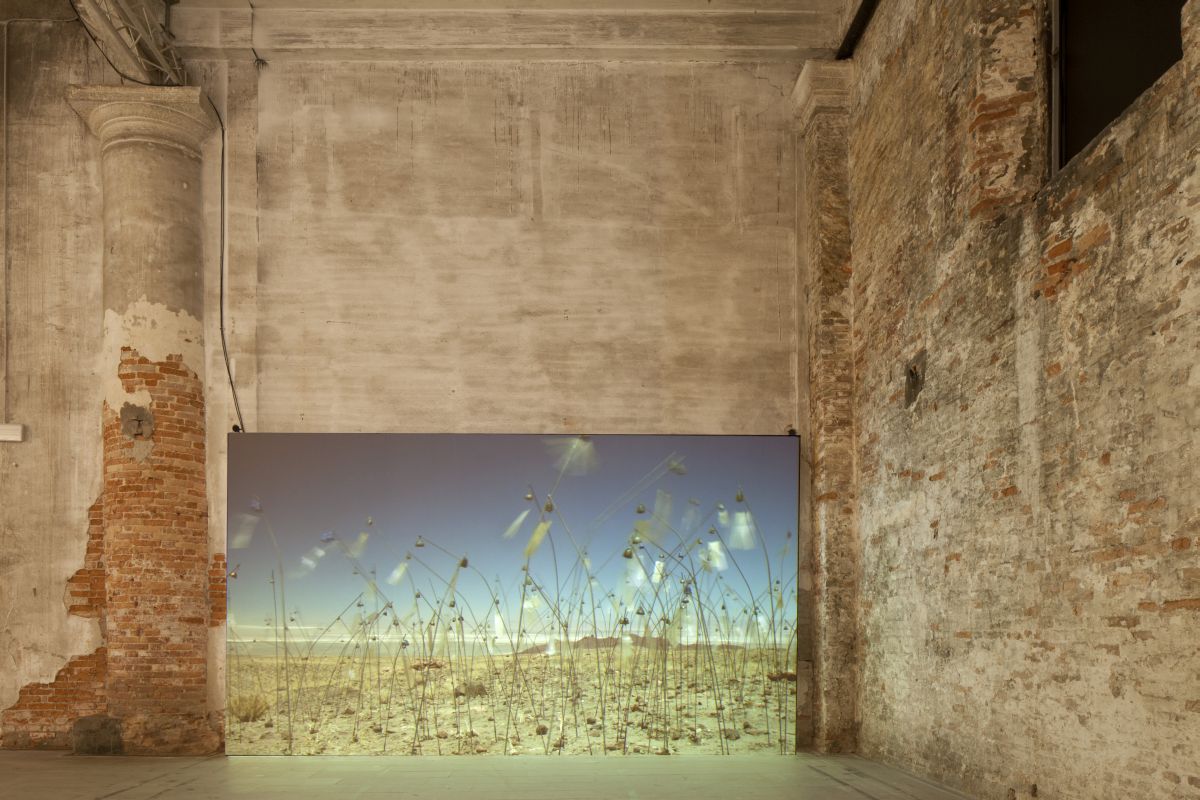 Christian Boltanski, „Animitas”, Biennale w Wenecji, 2015 (źródło: materiały prasowe Cricoteki)