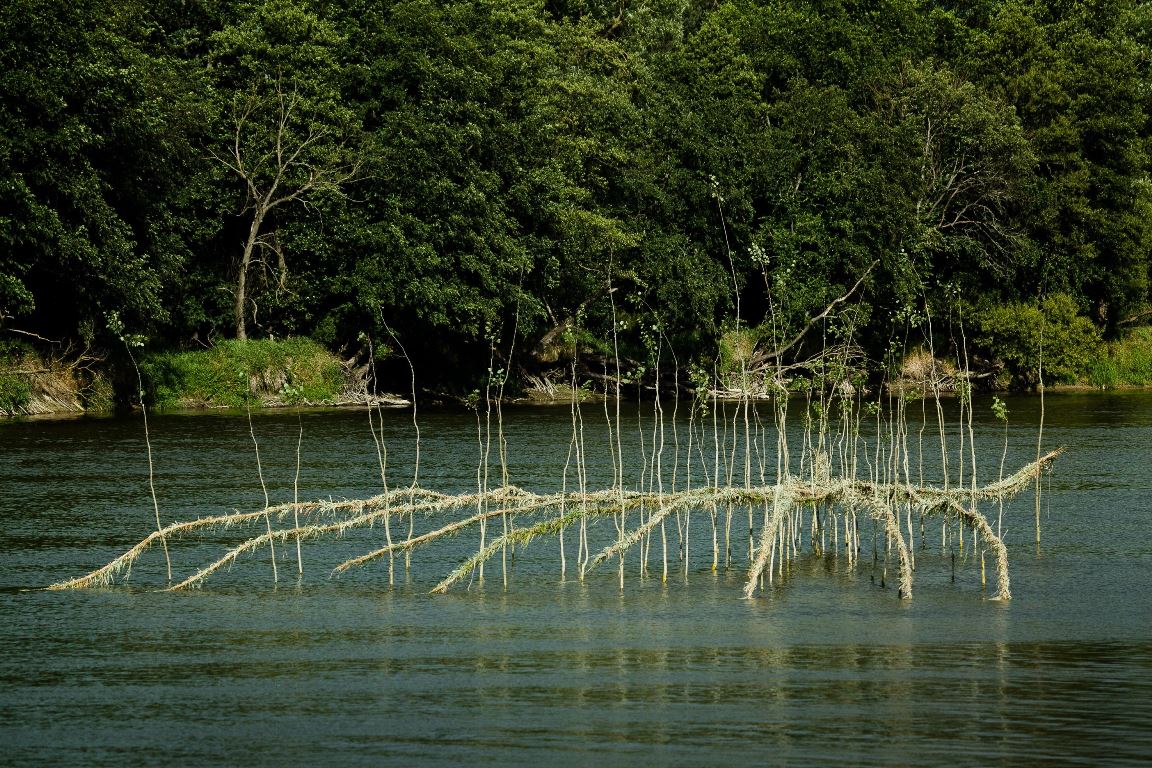 Roy Saab, „Poruszające prądy”, fot. R. Pranagal, Landart Festiwal 2015 (źródło: materiały Kwartalnika Rzeźby Orońsko)