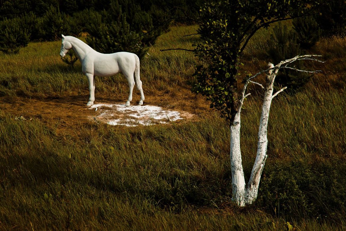 Katarzyna Krzykawska, „Koń a sprawa polska”, fot. R. Pranagal, Landart Festiwal 2015 (źródło: materiały Kwartalnika Rzeźby Orońsko)