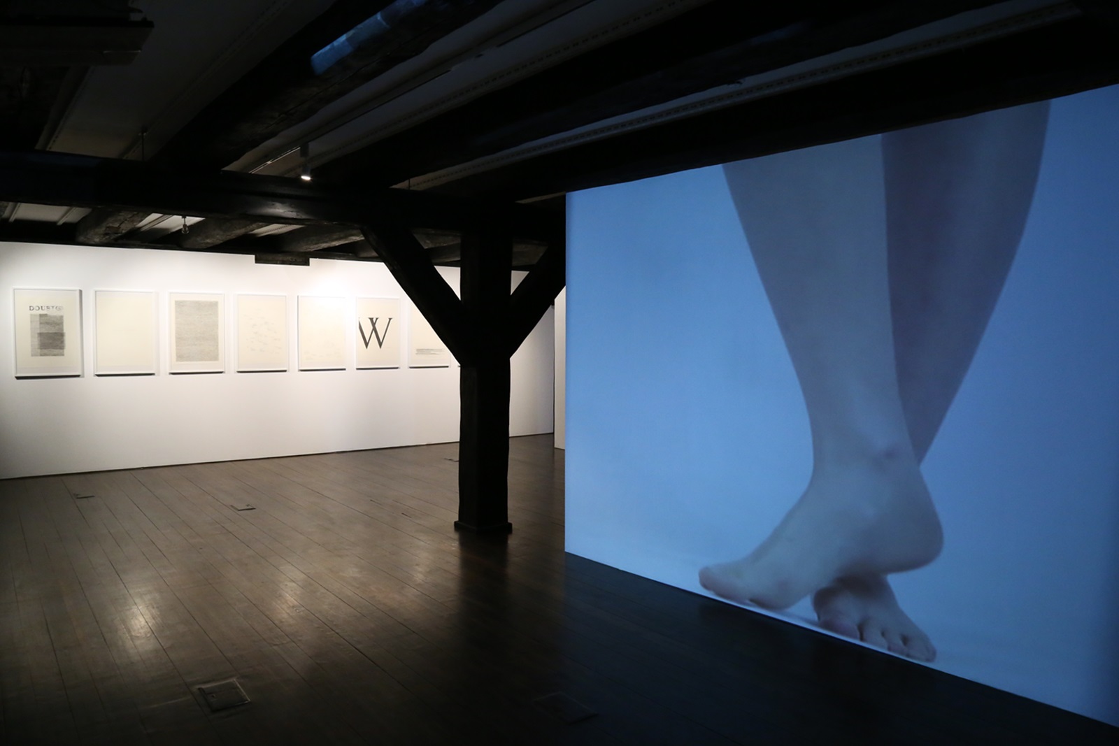 „Małgorzata Dawidek. Bodygraphy”, Galeria Sztuki Wozownia w Toruniu, 2016, fot. Kazimierz Napiórkowski (źródło: dzięki uprzejmości organizatora)