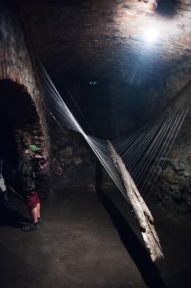 „Animal symbolicum”, Cellar Gallery, fot. Marcin Świdziński (źródło: dzięki uprzejmości autorki)