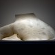 Krzysztof M. Bednarski, Moby Dick Bianco, alabaster, 2010, foto. Małgorzata Kujda (źródło: dzięki uprzejmości organizatora)