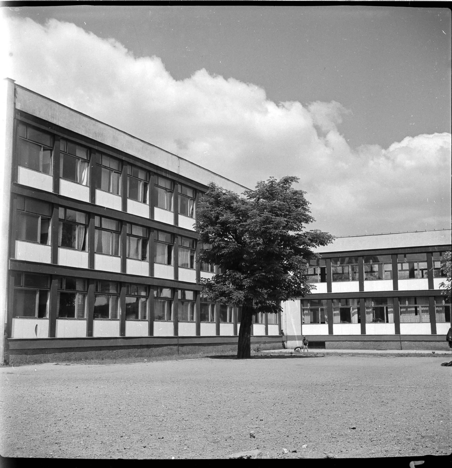 Szkoła Podstawowa nr 71 przy Podwalu, projekt 1955-56, realizacja 1958-60, fot. Tomasz Olszewski, Muzeum Architektury (źródło: materiały prasowe organizatora)