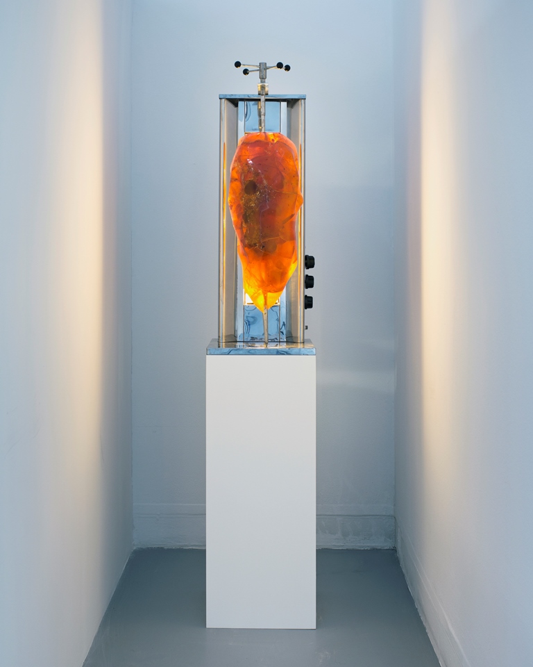 Widok ekspozycji na wystawie „Bogactwo”. Maria Toboła, „Amber kebab”, 2016. Fot. Marek Krzyżanek (źródło: materiały prasowe Zachęty Narodowej Galerii Sztuki)
