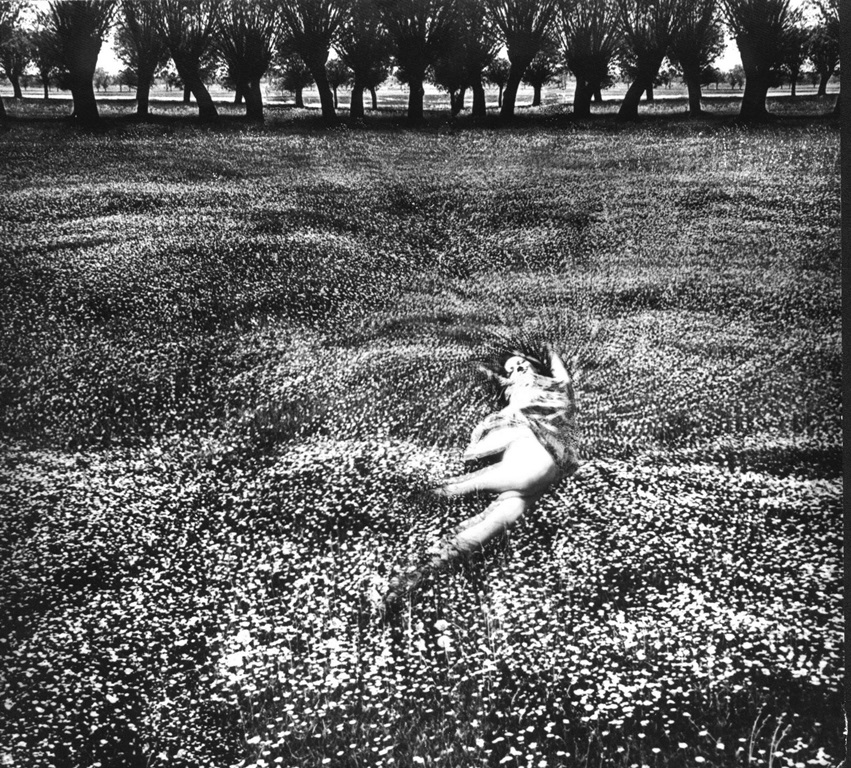 Jerzy Wardak, „Narodziny kwiatu”, 1963, fotomontaż, odbitka żelatynowo-srebrowa, kolekcja Muzeum Okręgowego w Toruniu (źródło: dzięki uprzejmości Muzeum Sztuki)