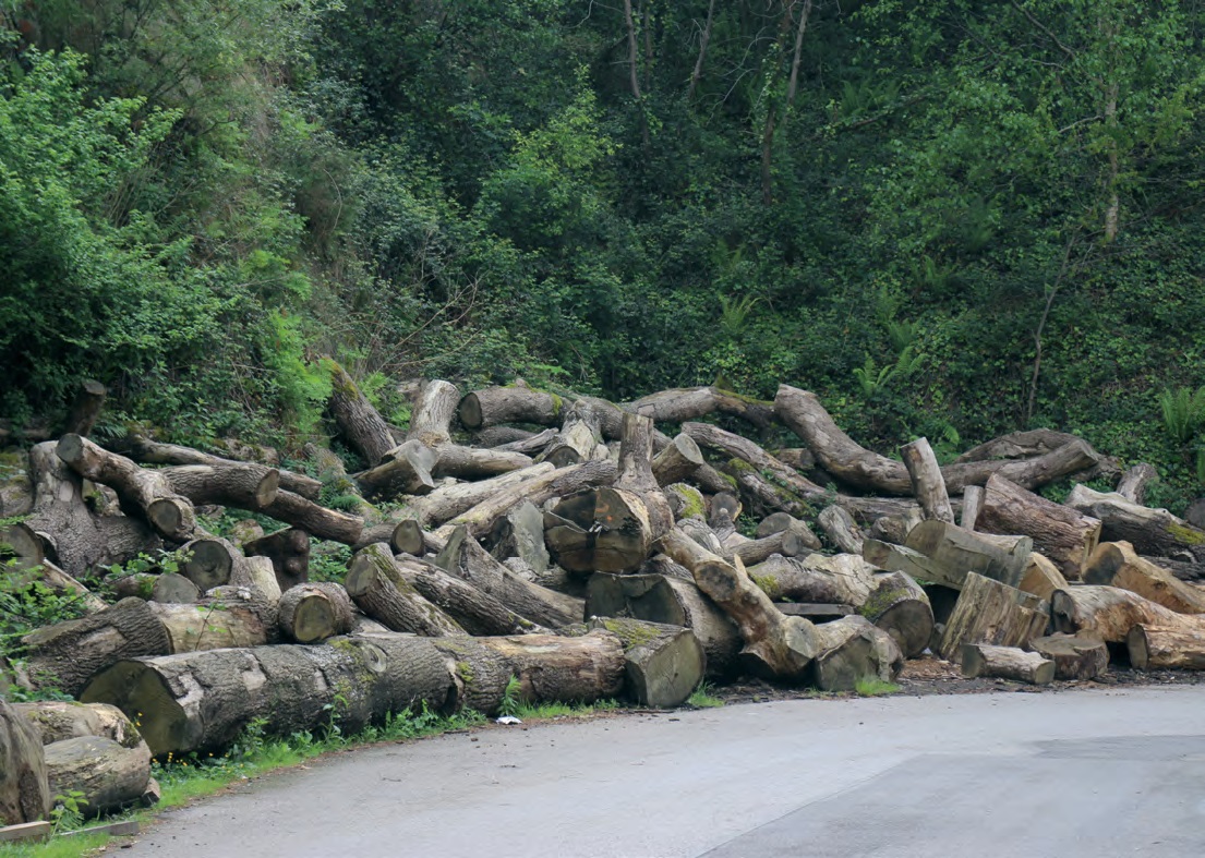 Kraj Basków, fot. Andrzej Ficowski (źródło: materiały „Rity Baum”)