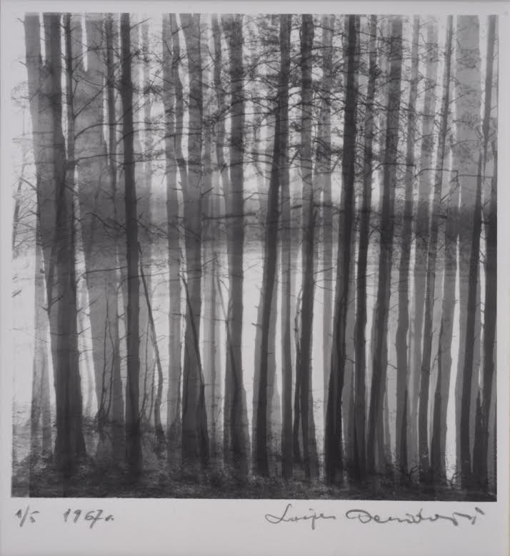 Lucjan Demidowski, „Drzewa”, 1967 (źródło: dzięki uprzejmości artysty)