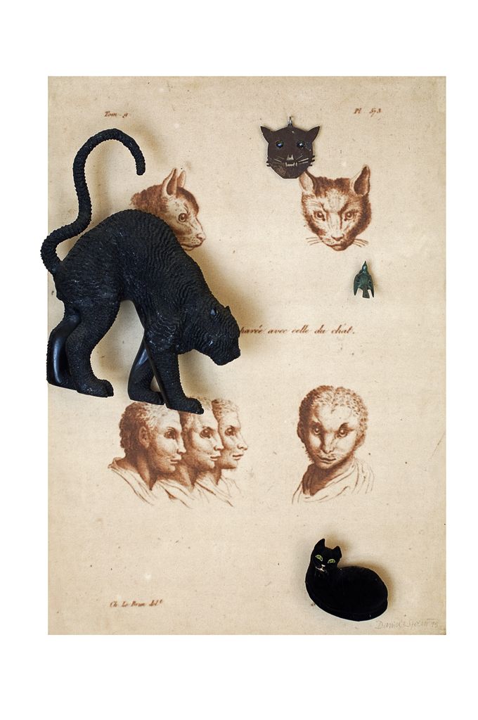 Twarz ludzka zestawiona z głową kota (Figure humaine comparée avec celle du chat), 1995, asamblaż, 140 × 100 × 25 cm, courtesy D. Spoerri, LEVY Galerie, Hamburg (źródło: materiały prasowe organizatora)