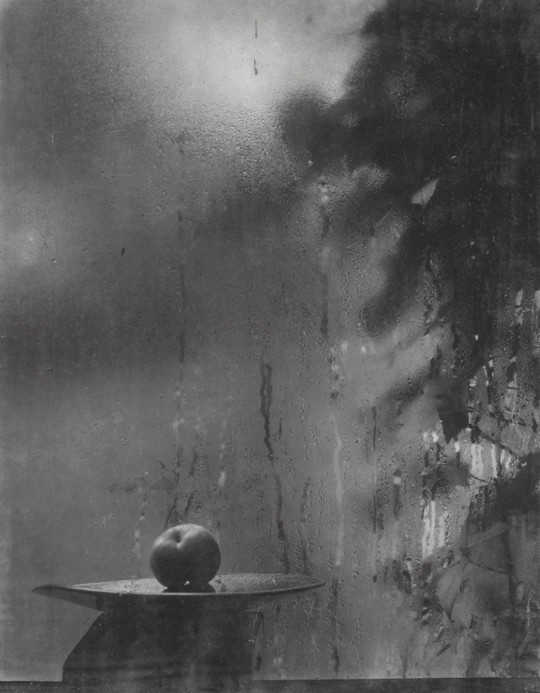 Josef Sudek, Moje okno (Jabłko na misie), odbitka żelatynowo-srebrowa, 1952, 302×245 mm, Muzeum Sztuki w Ołomuńcu (źródło: dzięki uprzejmości organizatora)