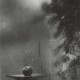 Josef Sudek, Moje okno (Jabłko na misie), odbitka żelatynowo-srebrowa, 1952, 302×245 mm, Muzeum Sztuki w Ołomuńcu (źródło: dzięki uprzejmości organizatora)
