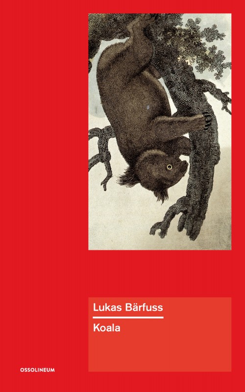 Lukas Bärfuss, „Koala” – okładka (źródło: materiały prasowe wydawcy)