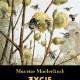 Maurice Maeterlinck, „Życie pszczół” – okładka (źródło: materiały prasowe wydawcy)