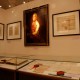 Widok ekspozycji „Pod znakiem róży nad Białą” (źródło: materiały prasowe Muzeum Historycznego w Bielsku-Białej)