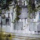 Widok zdewastowanego cmentarza ewangelickiego w Bielsku-Białej, fot. Sławomir Berski (źródło: dzięki uprzejmości autorki)