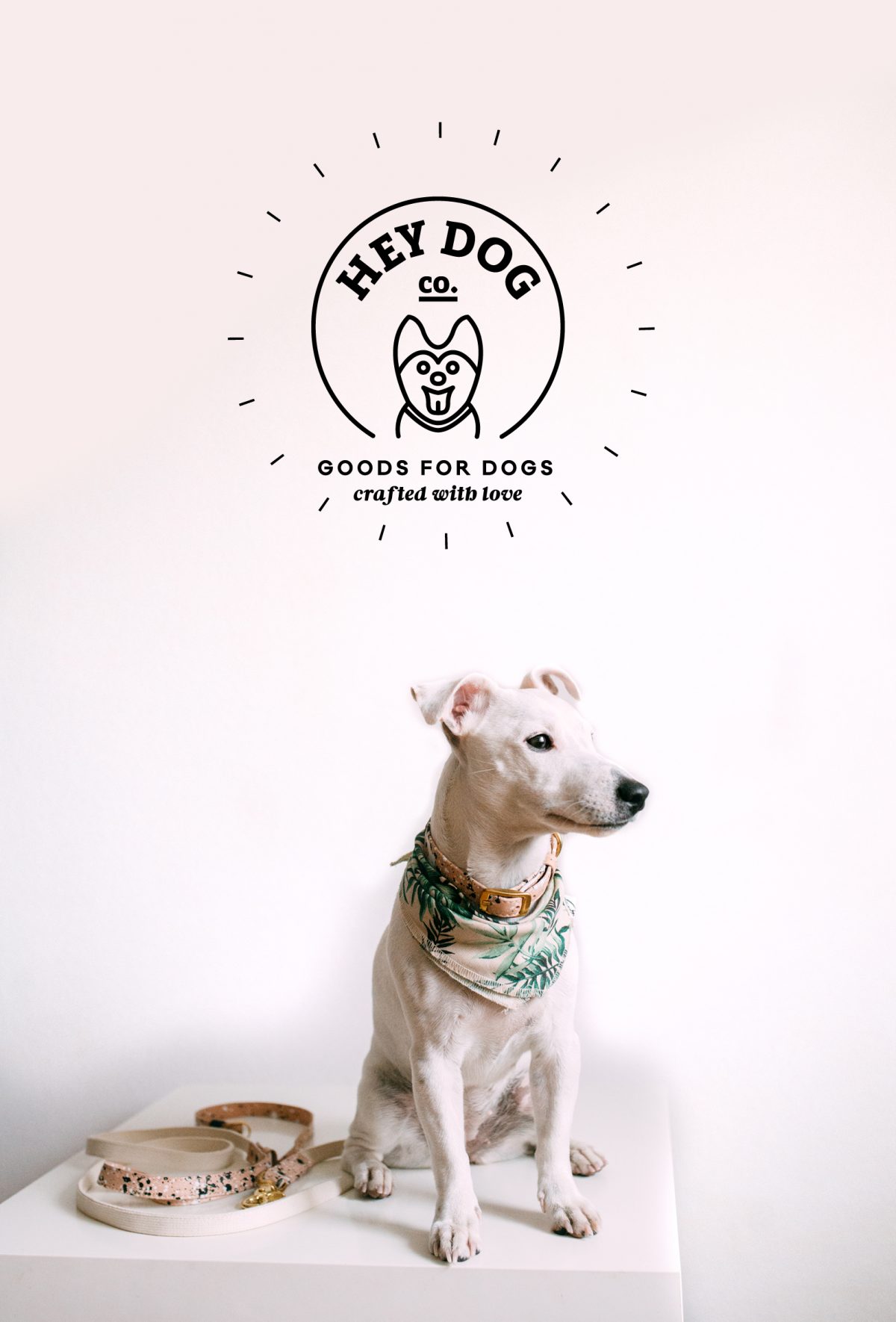 Hey Dog Co., Zaprojektowani – Krakowskie Spotkania z Dizajnem (źródło: materiały prasowe organizatora)
