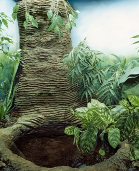 ghettojungle_6m