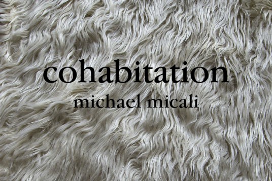 cohabitation