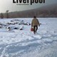 Lisandro Alonso, Liverpool