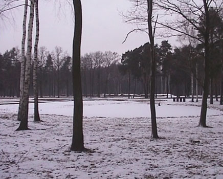 Mirosław Bałka, Winterreise / The Pond